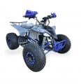  Forte ATV1000I